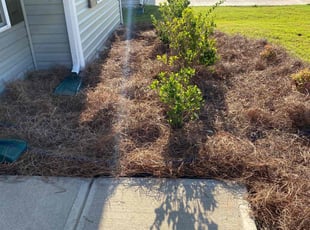 Mulching by Adam Hood for Juwan T. in Greensboro, NC