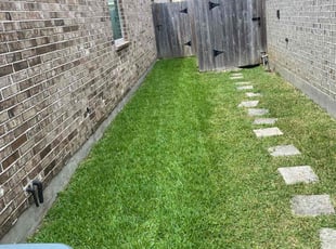 Melissa V.'s Lawn Mowing service result