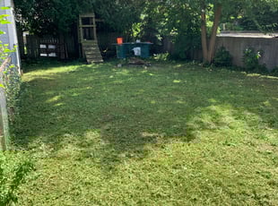 Cleanups by Ryan Cooper for Nicholas K. in Grand Rapids, MI