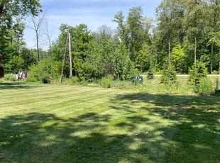 Patrick A.'s Lawn Care service result