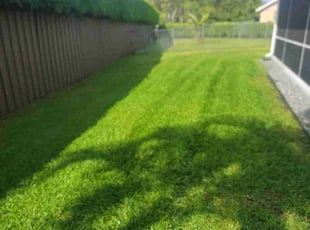 Reginald B.'s Lawn Mowing Service service result