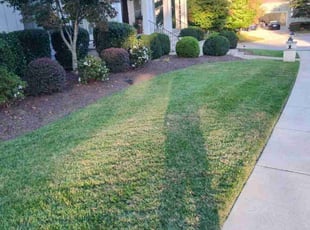 Chad L.'s Yard Cutting service result