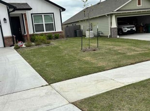 Michael L.'s Lawn Mowing service result