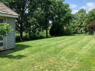 Robert R.'s Lawn Care service result