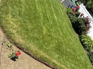 Beverly P.'s Lawn Maintenance service result