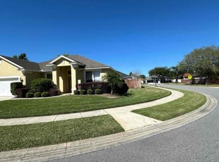 Raul C.'s Lawn Mowing service result