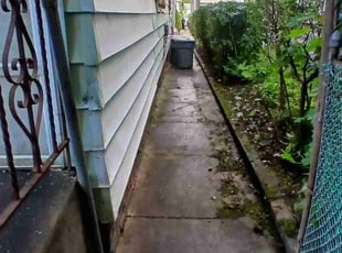 Leaf Removal by Jose Bautista for Gloria Y. in Irvington, NJ