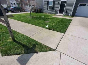 Darlene R.'s Lawn Mowing Service service result
