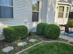 Bush Trimming by Michael Morton for Tonya B. in Blacklick, OH