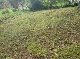 Cleanups by Nathan Christiansen for Warren B. in Chattanooga, TN