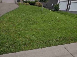 Eurana R.'s Yard Cutting service result