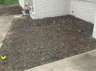 Cleanups by Josh Cook for Debra y. in Novi, MI