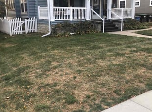 Leaf Removal by Charles Janousek for Justin B. in Omaha, NE