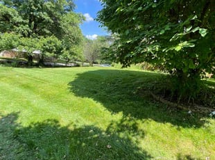 Andrea k.'s Lawn Mowing service result