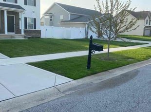 Stephanie F.'s Lawn Maintenance service result