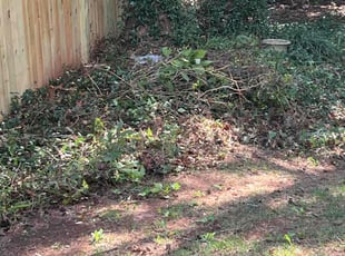 Cleanups by Aaron Watson for Rachel W. in Moore, SC