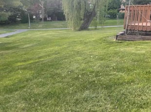 Aaron S.'s Lawn Mowing Service service result