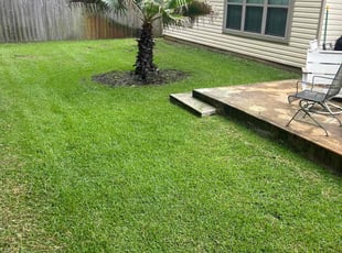 christina n.'s Lawn Mowing service result