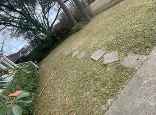 Leaf Removal by Wilbert Thomas for Charles O. in Baton Rouge, LA