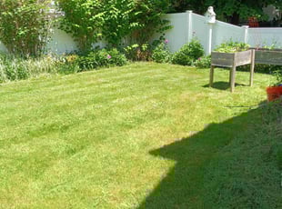 Michael R.'s Lawn Maintenance service result
