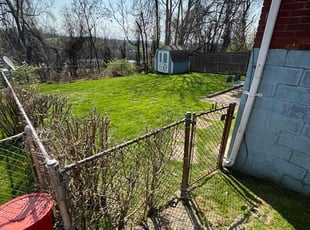 Barbara H.'s Lawn Mowing service result