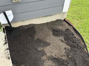 Cleanups by Louis Odell for Jo L. in Lafayette, LA