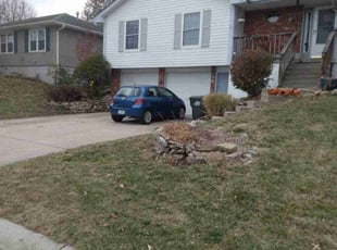 Bush Trimming by James Buchanan for Reagan C. in Blue Springs, MO