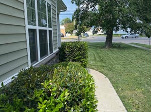 Bush Trimming by Justin Eballar for Kenneth G. in Norfolk, VA