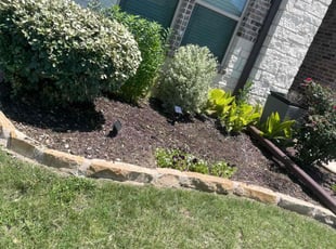 Bush Trimming by TERRY JOHNSON for Angela W. in Mansfield, TX