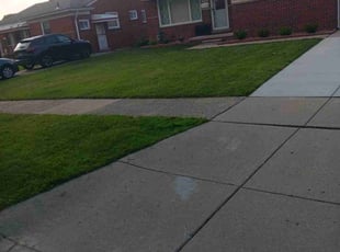 Kenetra Y.'s Lawn Service service result