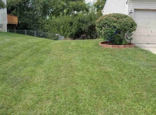 Bush Trimming by Darrell Brown for Kehinde O. in Hamilton, OH