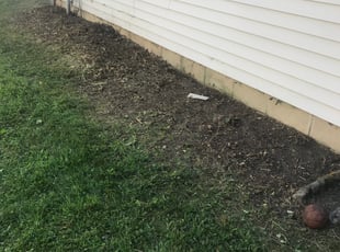 Cleanups by Spencer Moore for Dena G. in Indianapolis, IN