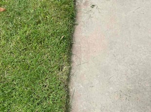 Gwendolyn J.'s Lawn Mowing Service service result