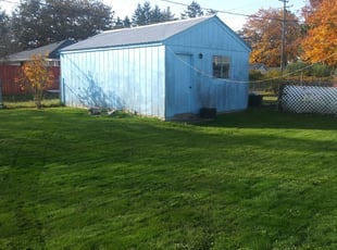 Leaf Removal by Brian Frey for Catherine F. in Tacoma, WA