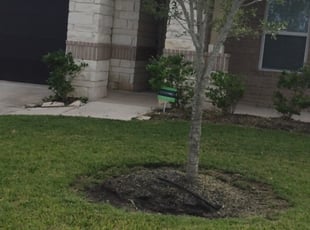 Bush Trimming by Paul Jones for Dan H. in Pearland, TX