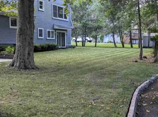 Ebony B.'s Lawn Care service result