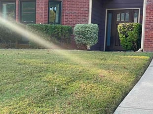 Bush Trimming by Toni Feaster for Rod A. in Stonecrest, GA