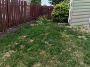 Bush Trimming by Bryan Fernandez for Bryan R. in Hudson, WI