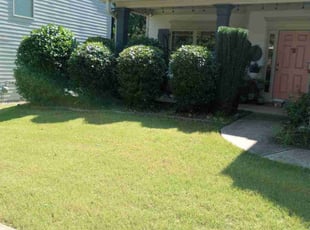 Bush Trimming by Montgomery Roberts for Emily P. in Canton, GA