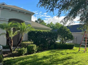 Carryann J.'s Yard Cutting service result