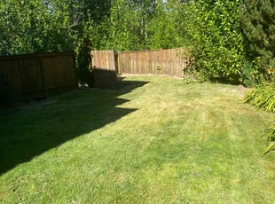 Jennifer I.'s Grass Cutting service result