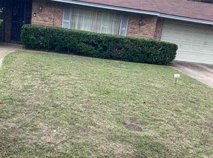 Bush Trimming by Noe Montiel for John P. in Dallas, TX