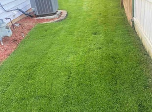 Peggy D.'s Lawn Care service result