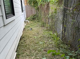 Bush Trimming by Nicole Ross for Kevin C. in Houston, TX