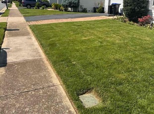 Ernie A.'s Lawn Mowing service result