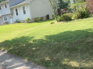 Florus w.'s Lawn Care service result