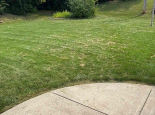 Cleanups by Que Greene for Linda R. in Menomonee Falls, WI
