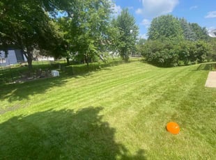 Ajaang D.'s Lawn Service service result