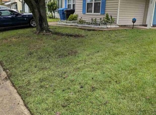 Cleanups by Chris Beale for Heidi G. in Virginia Beach, VA