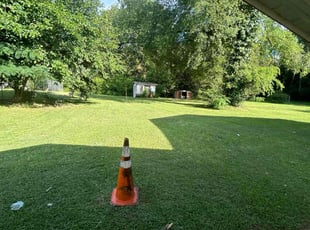 Frances P.'s Lawn Care service result